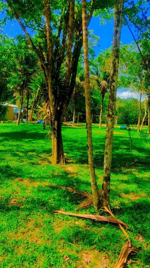 Parati Suite Luaran gambar
