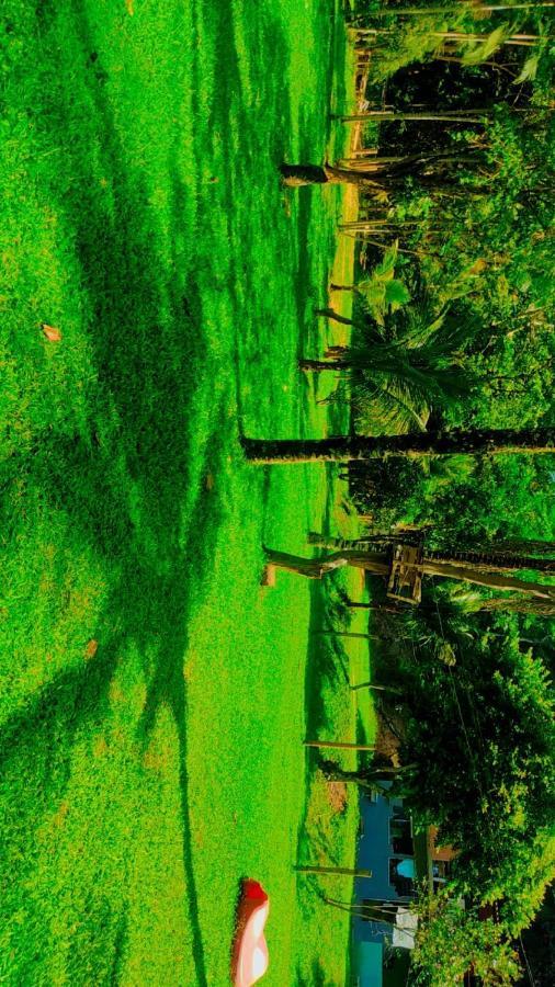 Parati Suite Luaran gambar