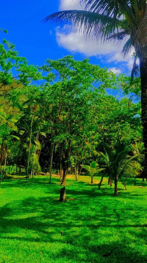 Parati Suite Luaran gambar