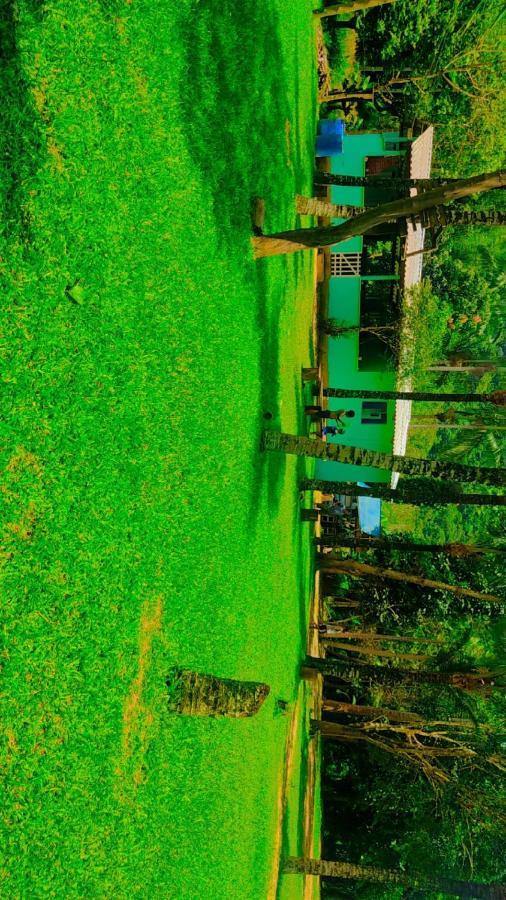 Parati Suite Luaran gambar