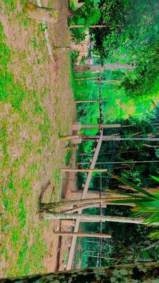 Parati Suite Luaran gambar